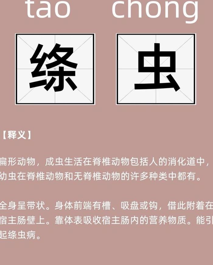 绦虫的释义（绦虫 百科）