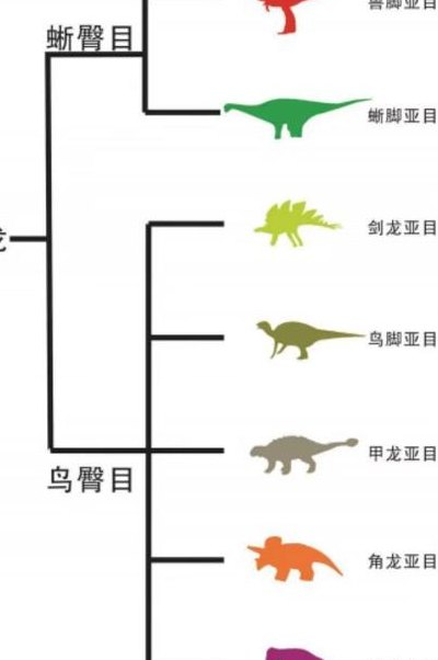 剑龙的资料（剑龙的资料表格）