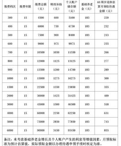 养老保险缴费标准（2024年灵活就业养老保险缴费标准）