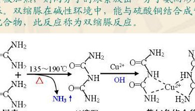 双缩脲反应（双缩脲反应原理）