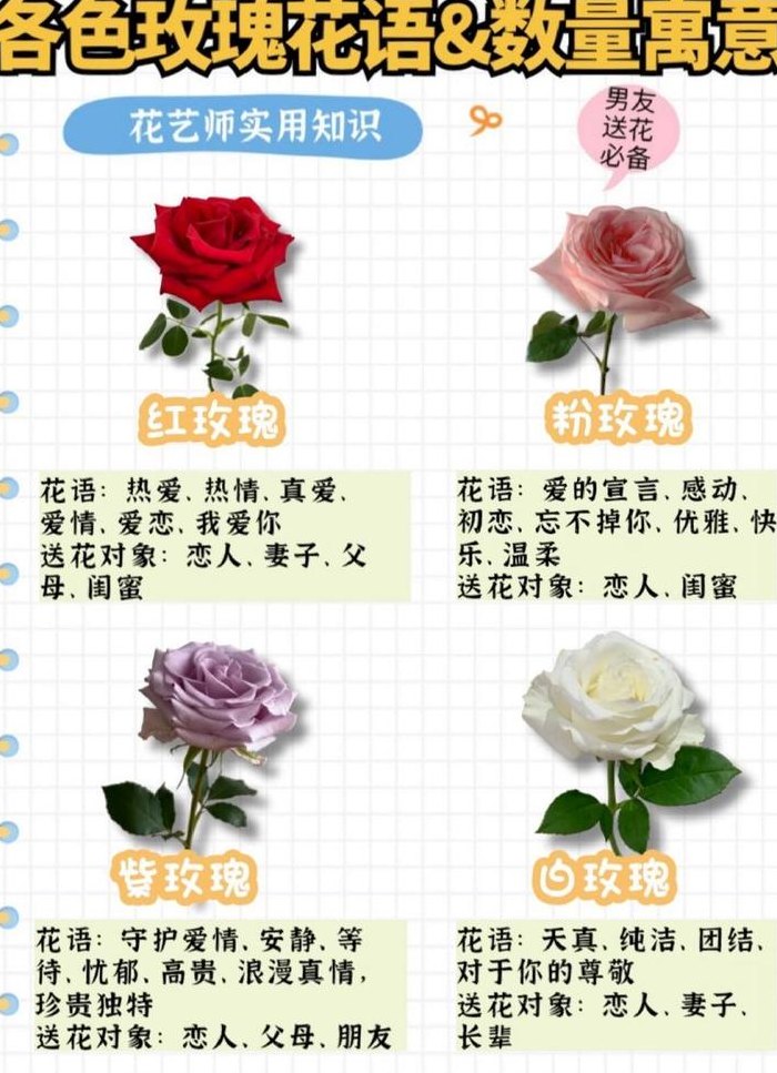 玫瑰花语（玫瑰花语每种颜色代表什么）