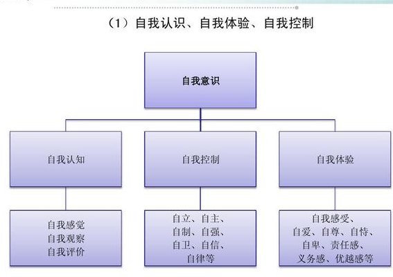 自是什么结构（自是什么结构的）