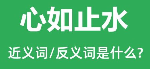 心如止水对爱情意思（心如止水在爱情里是什么意思）