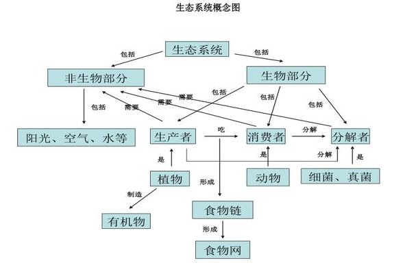 三大生态系统（三大生态系统包括森林海洋和什么）