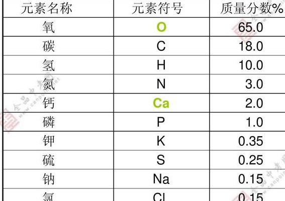 人体元素含量排名（人体元素含量排名鲜重）