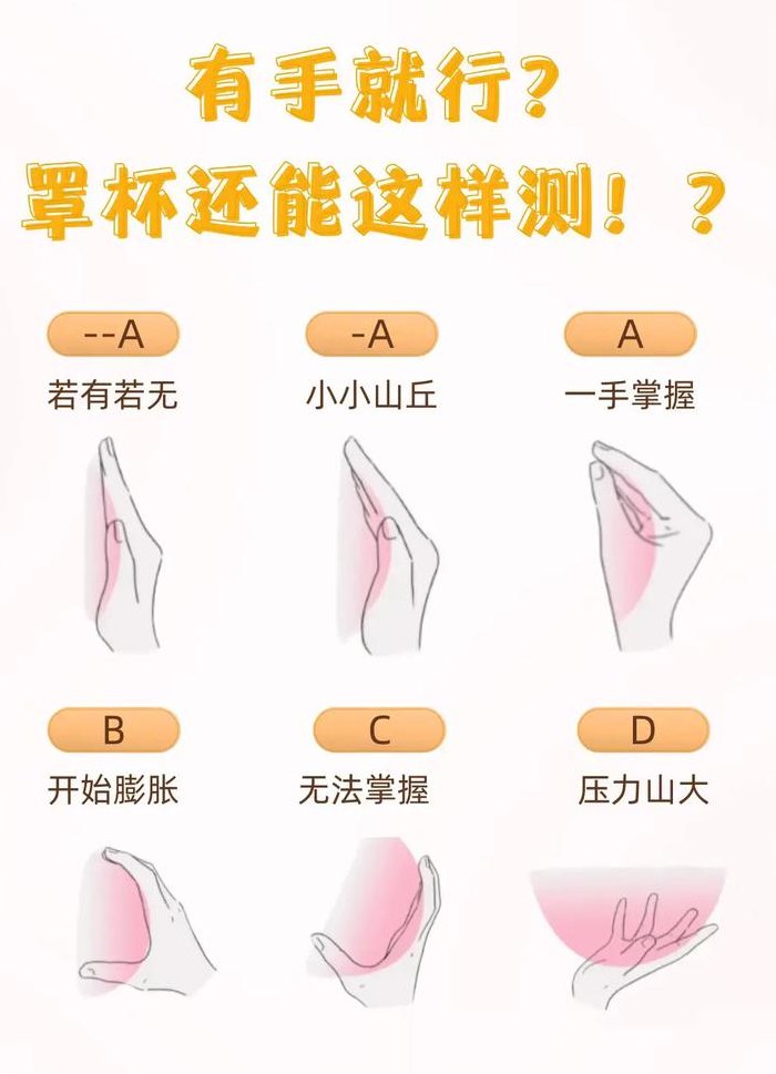 怎样测胸围（怎样测胸围大小选内衣）