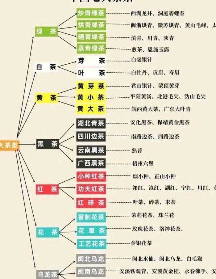 六大茶类基本知识（六大茶类基本知识思维导图）