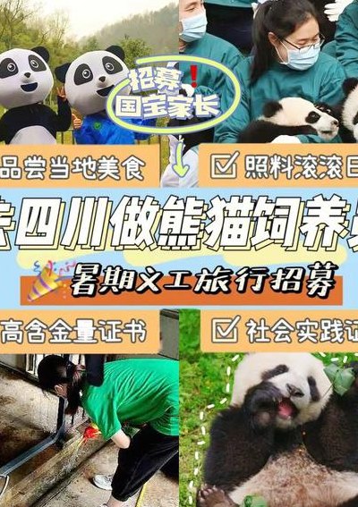 熊猫饲养员学历要求（熊猫饲养员学历要求生物学博士）