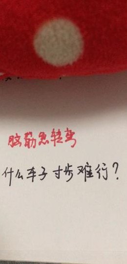 什么车子寸步难行（什么车子寸步难行打三个数字）