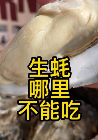 生蚝哪里不能吃（生蚝哪里不能吃高清图）