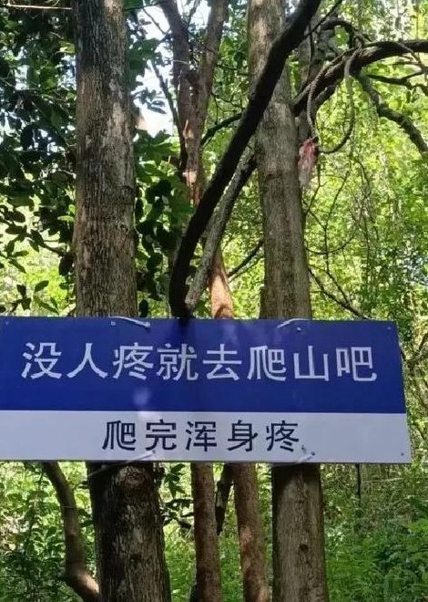 去爬山是什么梗（去爬山什么意思网络用语）