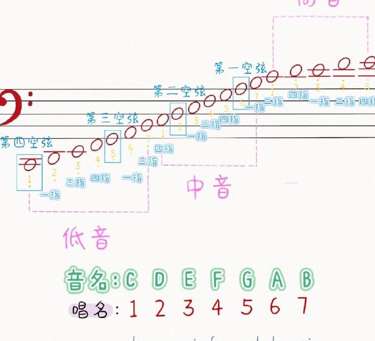 根音和低音的区别（根音和低音的区别在哪）