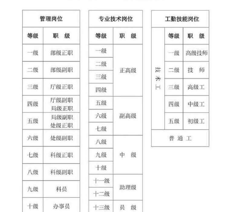 公司职位表（公司职位表从小到大排名）