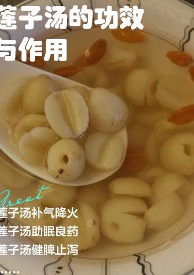 莲子要泡多久才可以煮（莲子要泡多久才可以煮粥吃）