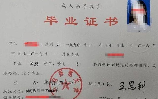 毕业证照片要求什么底色（小学毕业证照片要求什么底色）