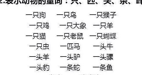 一什么大象填量词（一什么大象填量词一个）