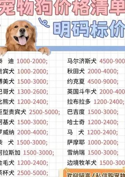 阿拉斯加犬价格（阿拉斯加犬价格一览表）