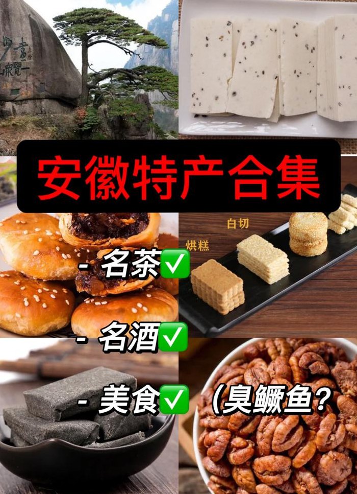 合肥特产有哪些好带走（合肥特产有哪些好带走的食物）