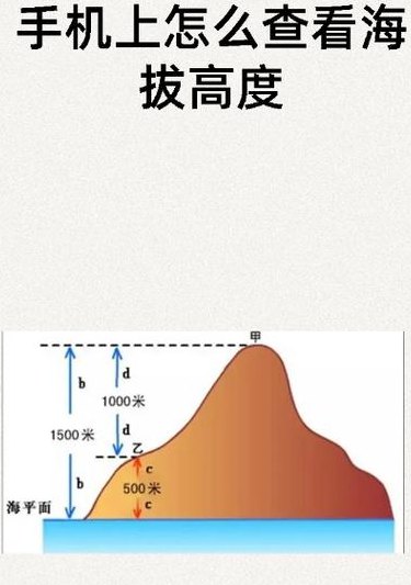 当前海拔高度查询网（海拔高度查询 在线查询）