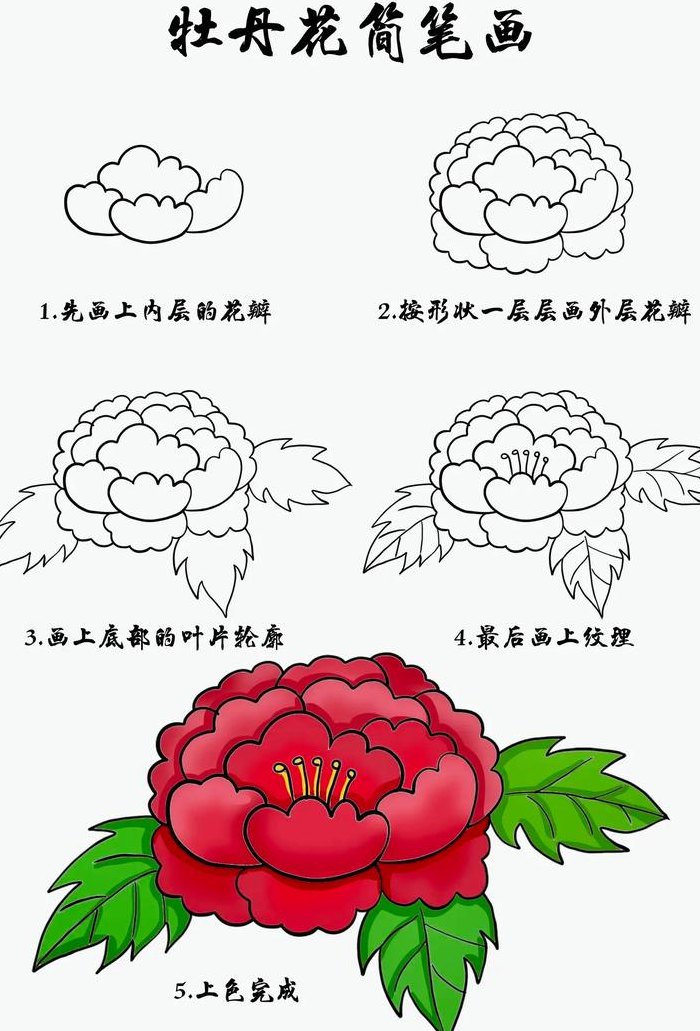 中国国花是啥（中国国花是啥 简笔画）