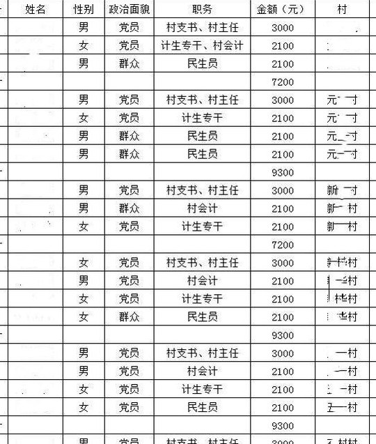 村支书是什么级别（村支书是什么级别干部哪发工资）