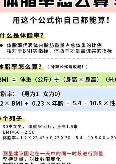 体脂率计算公式（标准体脂率计算公式）