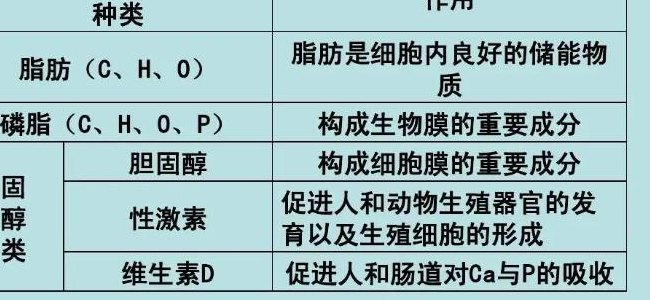 固醇分为哪三类（固醇分为哪三类作用高中）