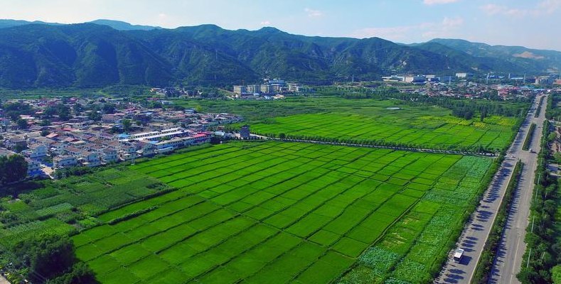 县大还是区大（县大还是区大大小顺序）