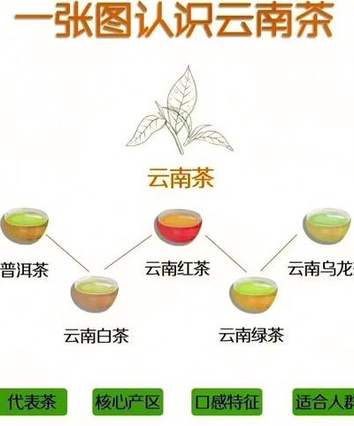 云南茶叶种类（云南茶叶种类有哪些品种）