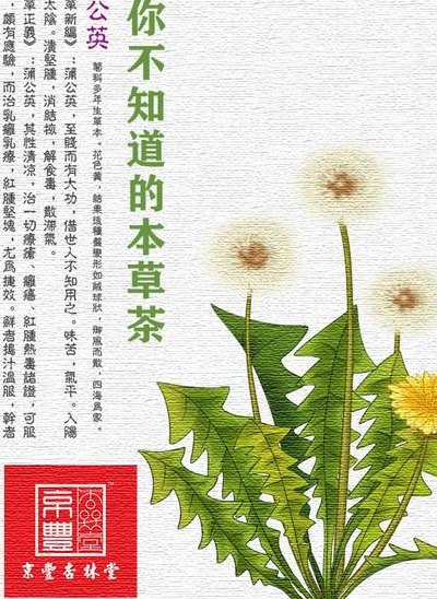 蒲公英花语等待重逢（蒲公英的花语是无法停留的爱）