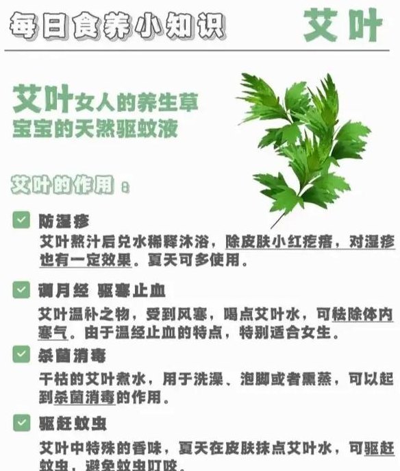 艾叶能驱蚊吗（艾叶驱蚊吗宝宝能用吗）