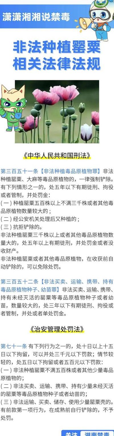 罂粟种多少颗犯法的简单介绍