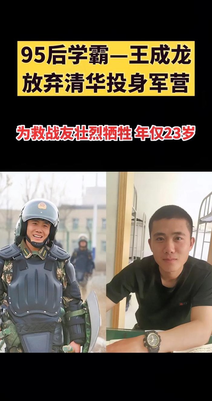 王成龙事件（王成龙事件肇事司机怎么判的）