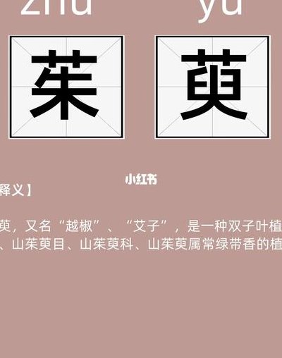 茱萸读音（茱萸读音及意思解释）