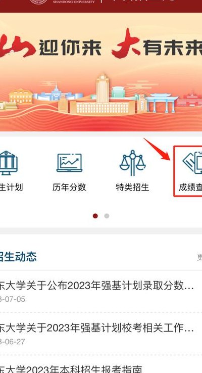 山东大学录取查询（山东大学录取查询系统入口官网）