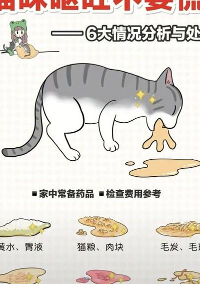 猫不吃东西怎么办还呕吐是为什么（猫不吃东西呕吐怎么回事）