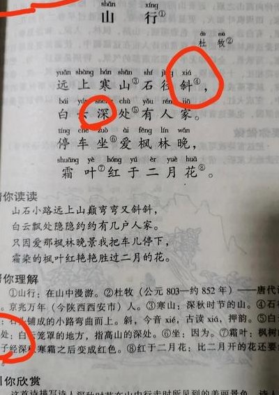 石径是什么意思（石径是什么意思 图片）