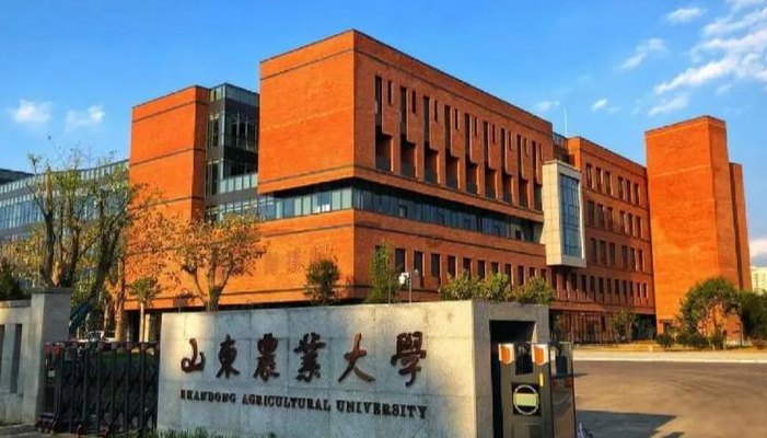 山东农业大学在哪（山东农业大学是211还是985）