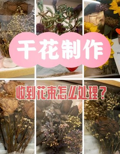 干花怎么保存（干花怎么保存不会发霉）