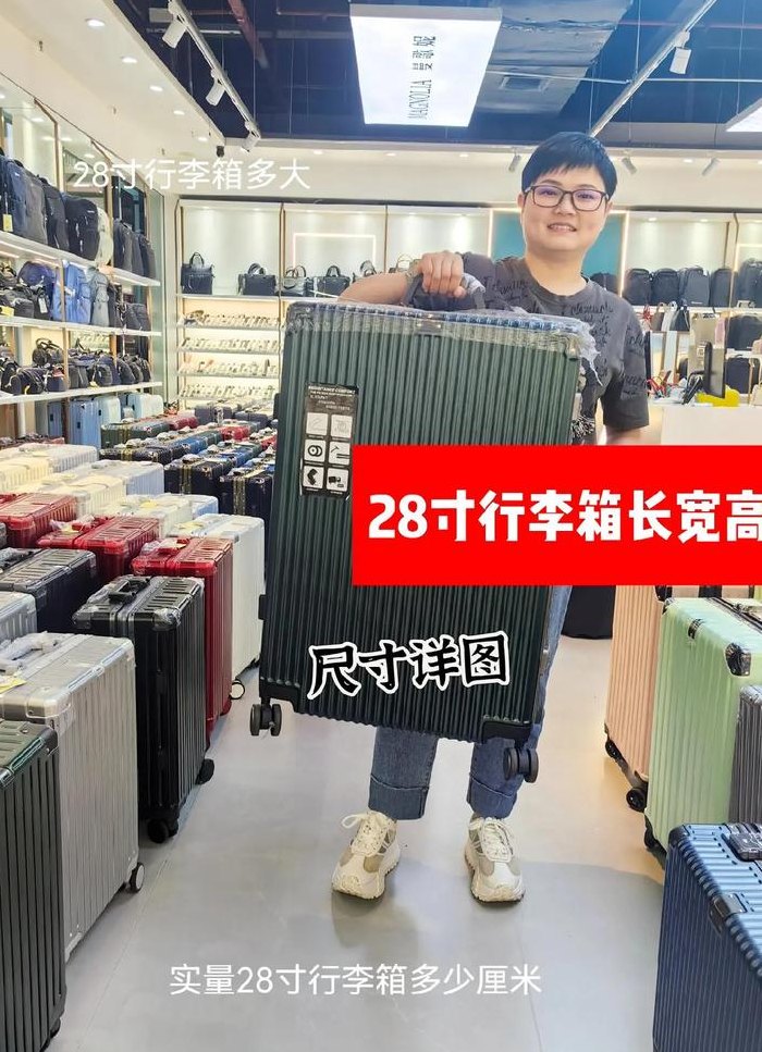 高铁能带28寸行李箱吗（高铁能带28寸行李箱吗多少钱）