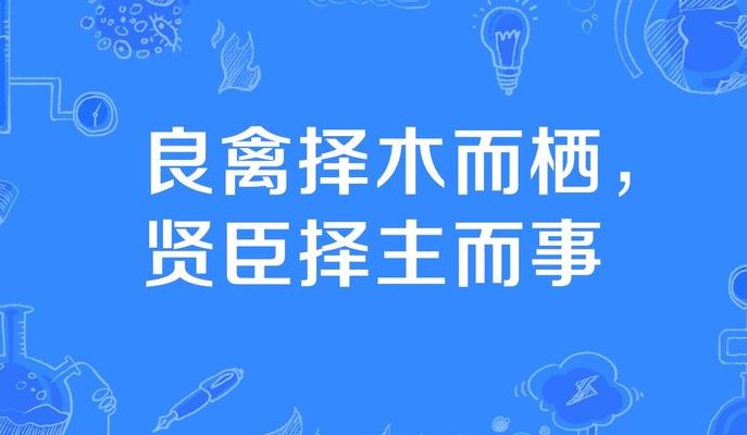 良禽择木而栖下一句（良禽择木而栖下一句什么意思）