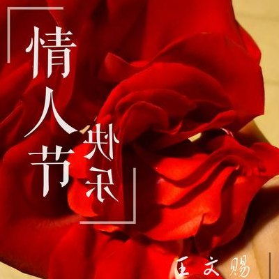 情人节适合发的朋友圈（情人节适合发朋友圈的歌曲）