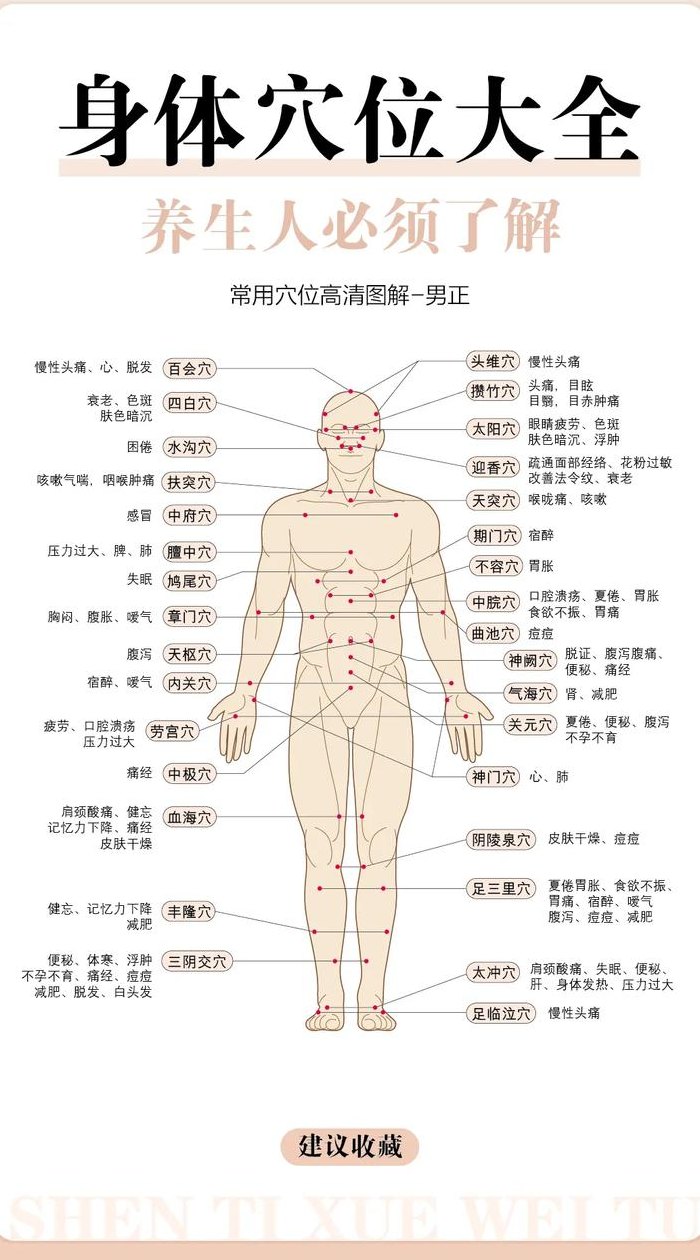 人体经络穴位详解（人体经络图及讲解）