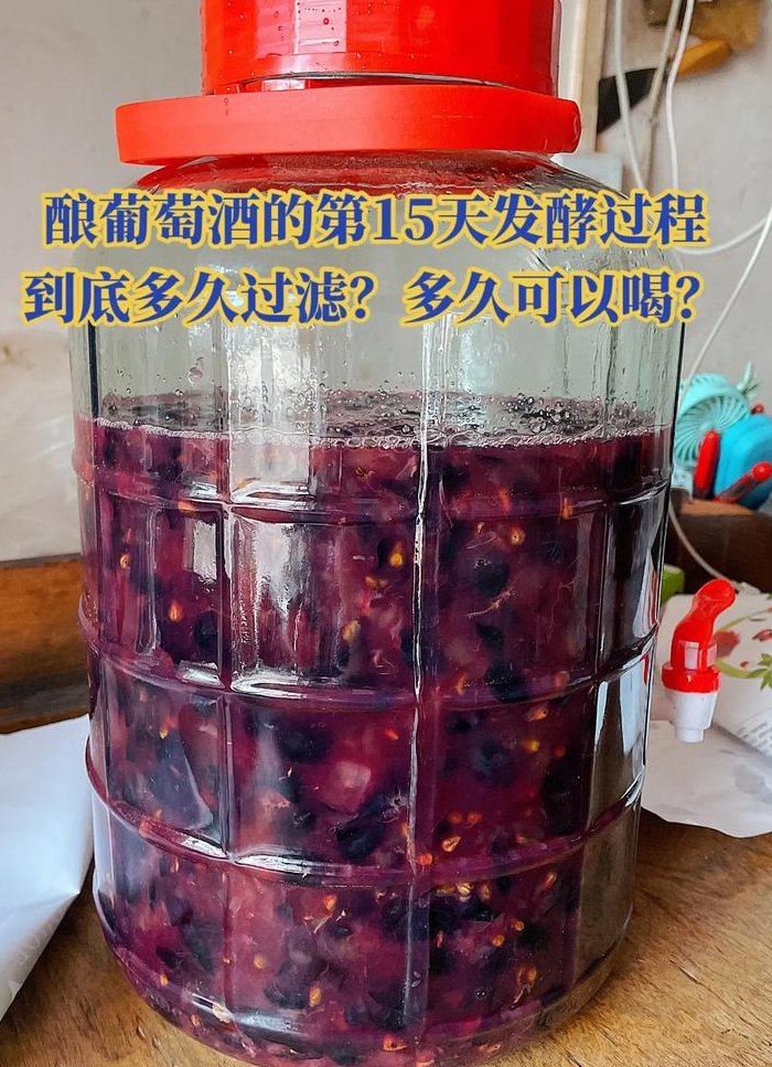 自酿葡萄酒多久可以喝（自酿葡萄酒多久能喝?）