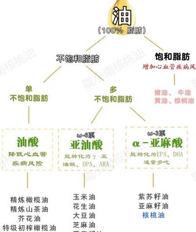 油脂是不是高分子化合物的简单介绍