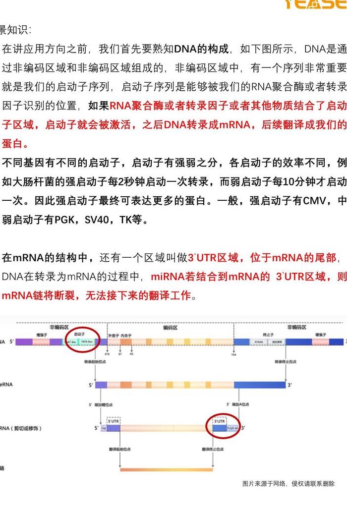 感光效应（增感影屏是利用荧光作用原理增加感光效应）