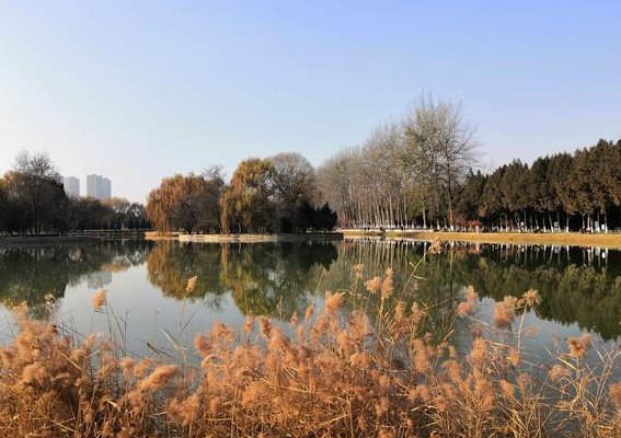 2018北京植物园冬天好玩吗（2018北京植物园冬天好玩吗多少钱）