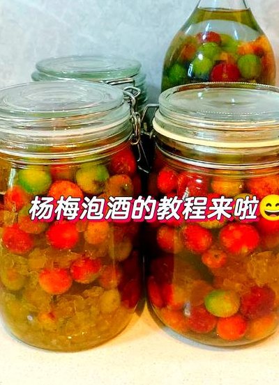 杨梅酒的制作方法步骤（杨梅酒的制作方法步骤不加白酒）