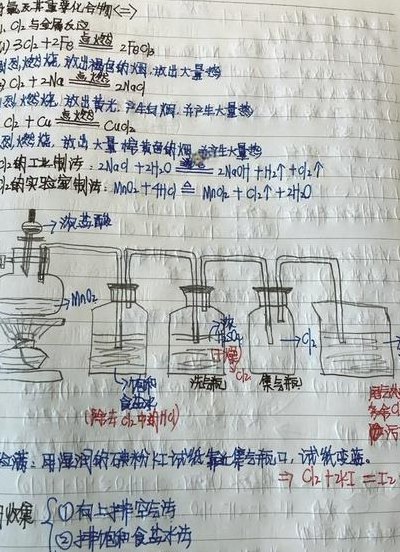 漂粉精的主要成分（漂粉精的主要成分是哪两个）