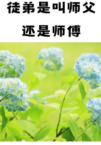 师傅的老公叫什么（徒弟叫师傅的老公叫什么）